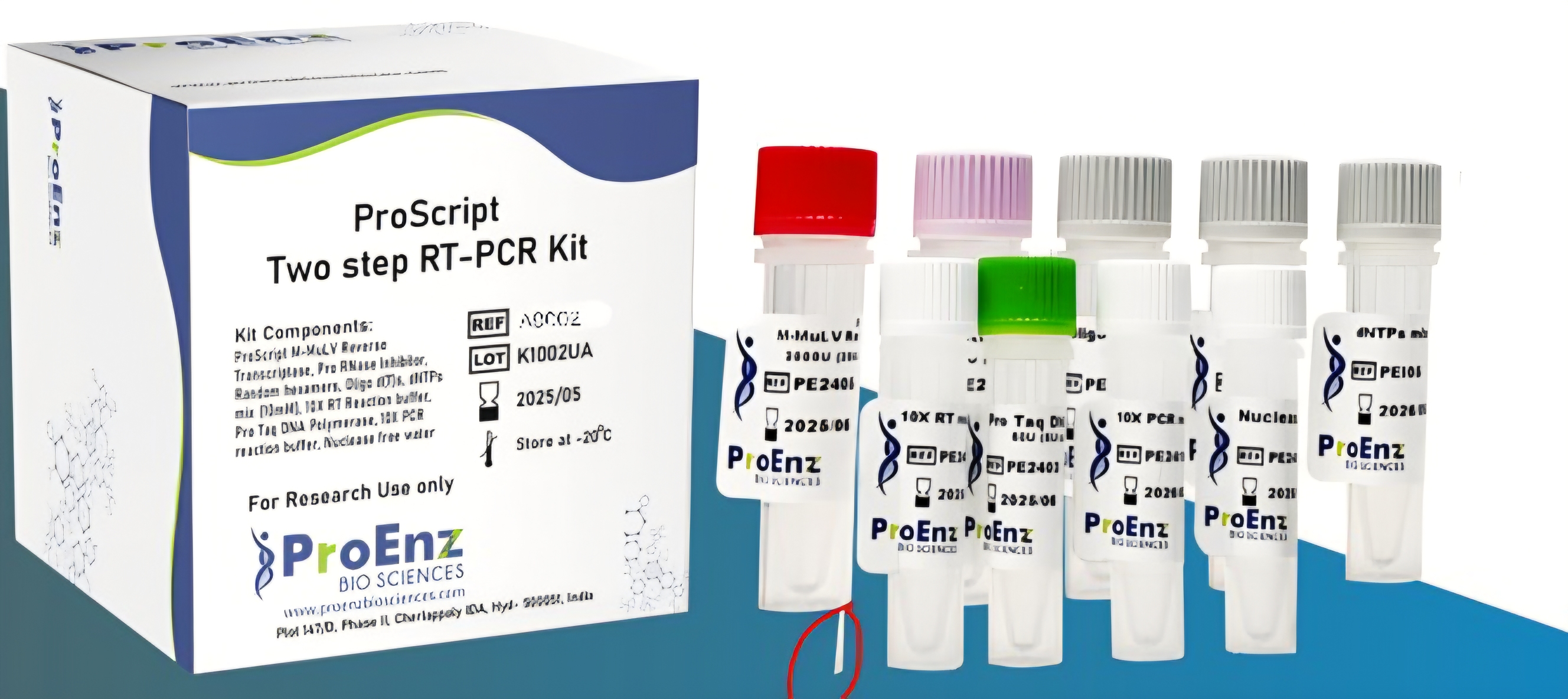 ProScript Two Step RT-PCR Kit