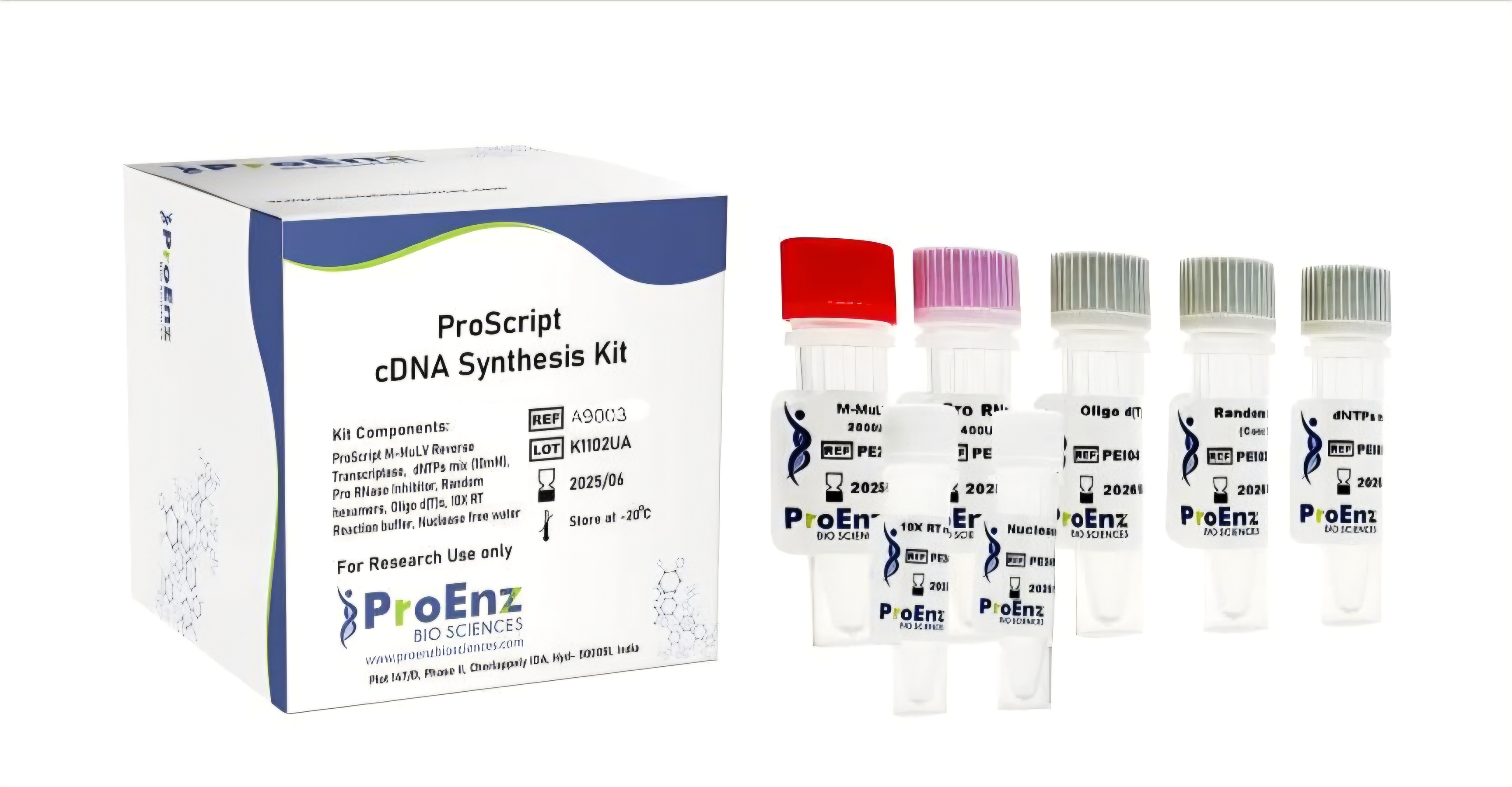 ProScript cDNA Synthesis Kit
