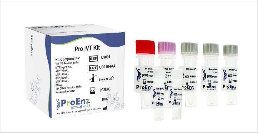 Pro IVT (In-Vitro Transcription) Kit